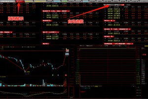 金甲抓妖系统V9.99竞价系统指标 通达信主图/副图/选股公式 每天都能抓到10-20%的妖股 捉妖模型 独一无二 最牛创业板低吸式 首板 一进二等模式 原价19800