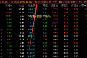 绿箭发射竞价指标 通达信副图/排序选股公式 低开高走强势股 无未来