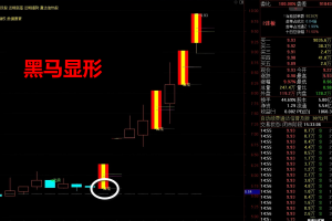 黑马显形战法 通达信指标 主图/副图/选股公式 抓住妖股起爆点
