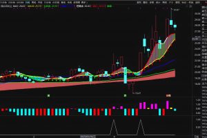 操纵自如 通达信指标 主图/副图/选股公式 股市闭眼狂赚秘籍 神级黑科技 附内幕用法