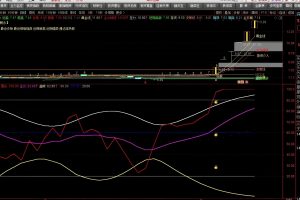 龙行阴阳线 通达信指标 副图公式 无未来源码