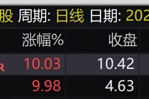 信者无敌竞价 通达信排序指标 副图公式 金钻指标物超所值