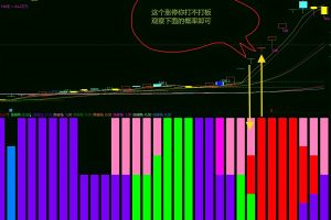 马尔可夫链 通达信指标 副图公式 涨停打不打有效判断概率