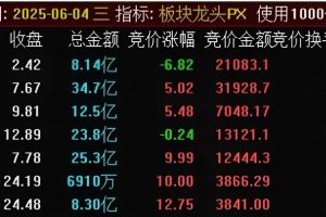 板块龙头 通达信排序指标 竞价副图公式 无未来可回测不加密 妖股一网打尽