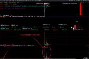分时拉升量+攻击量 通达信指标 副图公式 半路玩家必备 价值上千