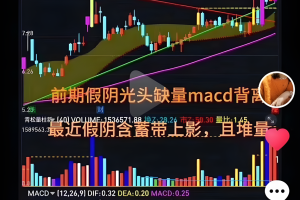 原创首发假阴反包 通达信指标 副图/选股公式 无未来源码