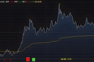 分时盯盘 通达信指标 主图公式 分时做T 日内打板神器