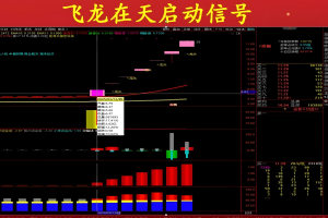 飞龙在天+主力机构123 通达信指标 主图/副图/选股公式 内部最厉害战法 三箭合一全套资料