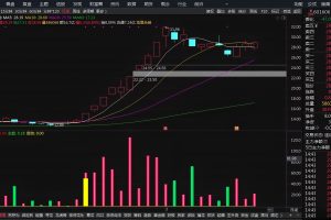 暗盘资金监测 通达信指标 副图公式 黄柱进 绿柱出