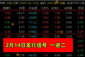 龙行凤随 通达信排序指标 副图公式 超级竞价系统 可以回测历史数据 全天不变