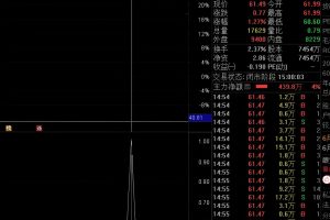 响尾蛇2号 通达信指标 副图/选股公式 成功率高达94%