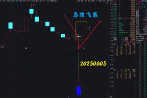 马踏飞燕一站封神 通达信指标 副图/选股公式 DeepSeek系列 1-2天持股自己格局
