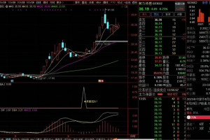 妖股回调 通达信指标 副图/选股公式 6月0失误 妖股涨停回调 在变盘时介入 价值超金钻