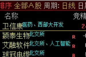 竞价精选 通达信指标 副图排序公式 很奇特 未使用竞价专用函数