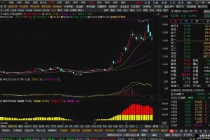 赢家庄家控盘 通达信指标 副图公式 结合macd 至少不被洗出去