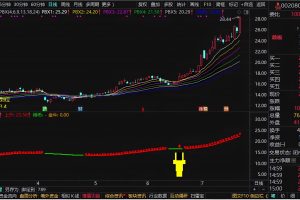 金牛成形 通达信指标 副图/选股公式 不惧牛熊真神奇