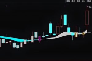 MACD中短线抄底利器 通达信指标 主图公式 不花里胡哨 清晰易懂