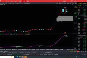 短线多空 通达信指标 副图公式 简洁明了 优化波段共振分数