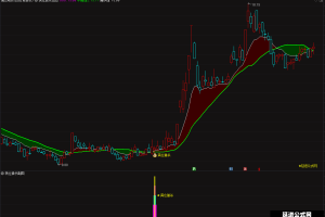 满仓猎杀珍藏版优化 通达信股市套装指标  主图/副图/选股公式  历史评测超高成功率 出票少而精