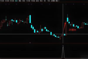 志特新材 通达信指标 副图/选股公式 大妖股启动前量化