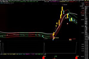 100抄底必涨 通达信指标 副图/选股公式 把握好自己的操作规律