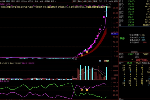 资金博奕 通达信指标 副图公式 一个无需开通会员VIP的查看主力控盘线