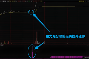 主力吸筹 通达信分时指标 副图公式 某音产业链直播间的