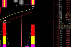 活跃度 通达信指标 副图公式 强势回调寻找短线底部神器