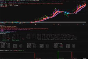 财务分析 通达信指标 4副图公式 呆呆兔懂的自然懂