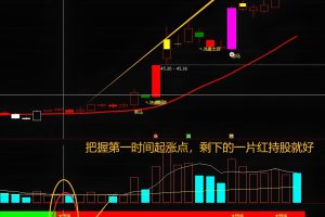 情绪资金 通达信指标 副图/选股公式 大道至简牛市已来 妖股不愁 捕捉起爆点