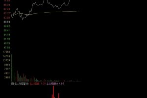 分时主力吸筹优化版 通达信指标 副图公式 紫色顶格柱子涨停