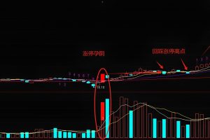 涨停挖坑妖股模型 通达信指标 副图/选股公式 历史总是惊人的相似
