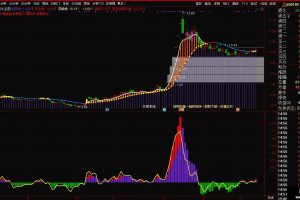主升行情 通达信指标 副图公式 主升资金启动