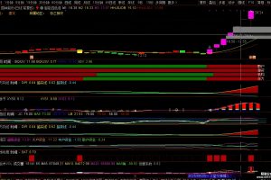 麟龙软件至尊版指标 通达信主图/副图公式 这个软件也赚了70万左右