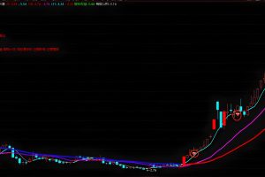 1831主升浪主图指标 通达信主图/选股公式 大户室专用