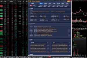 通达信聚合F10版面 分享给大家 带联动
