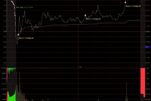 500w机构超大单逻辑指标 分时主图公式 比传统L2数据更直观易用