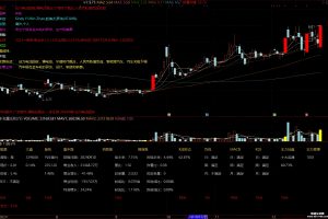 11因子指标 通达信副图公式 总分越高越好